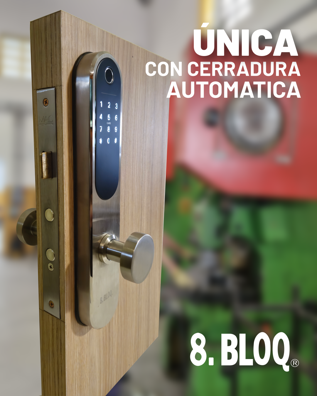 Detalle del nuevo producto 8BLOQ